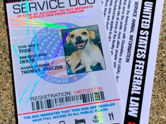 Holographic Custom Service Dog ID Badge – Personalized Assistance Dog Card