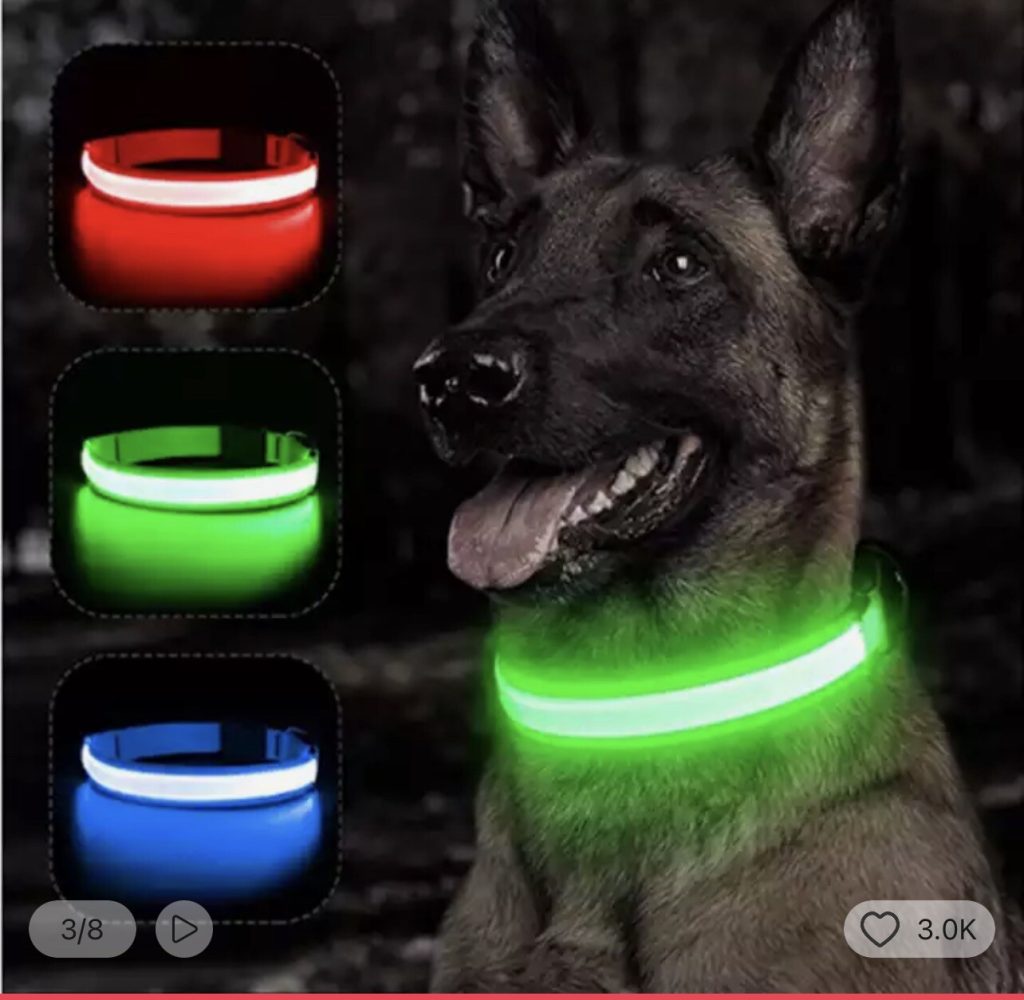 LED Light-Up Dog Collar – USB Rechargeable Luminous Safety Collar for Night Walks & Visibility
