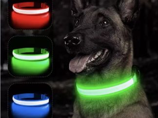 LED Light-Up Dog Collar – USB Rechargeable Luminous Safety Collar for Night Walks & Visibility