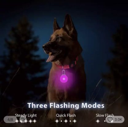 LED Light-Up Dog Collar – USB Rechargeable Luminous Safety Collar for Night Walks & Visibility - Image 2