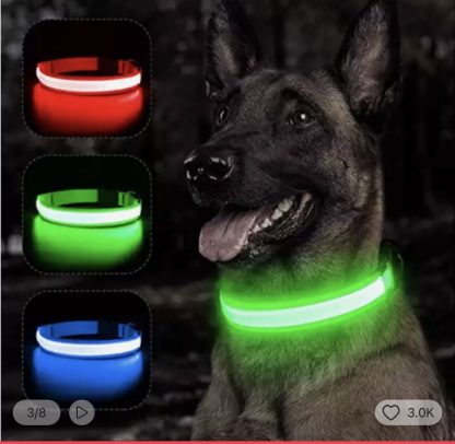 LED Light-Up Dog Collar – USB Rechargeable Luminous Safety Collar for Night Walks & Visibility - Image 5