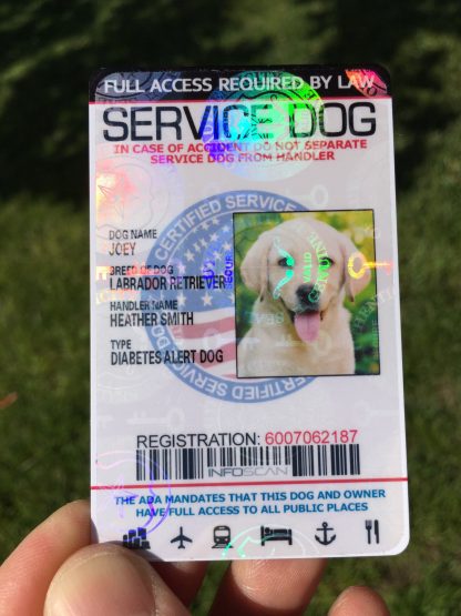 Holographic Custom Service Dog ID Badge – Personalized Assistance Dog Card - Image 3